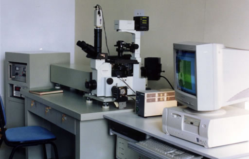 Laser Scalpel